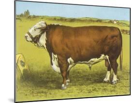 Cattle, Hereford Bull-null-Mounted Art Print