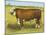 Cattle, Hereford Bull-null-Mounted Art Print