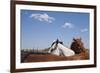 Cattle Horses, Chilicothe, Texas-Paul Souders-Framed Photographic Print