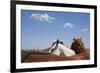 Cattle Horses, Chilicothe, Texas-Paul Souders-Framed Photographic Print