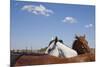 Cattle Horses, Chilicothe, Texas-Paul Souders-Mounted Photographic Print