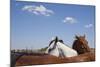 Cattle Horses, Chilicothe, Texas-Paul Souders-Mounted Photographic Print