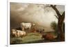 Cattle in a Field, with Travellers in a Wagon on a Track Beyond and a Church Tower in the…-Paulus Potter-Framed Giclee Print