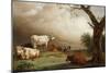 Cattle in a Field, with Travellers in a Wagon on a Track Beyond and a Church Tower in the…-Paulus Potter-Mounted Giclee Print