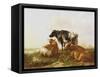 Cattle in a River Landscape-Thomas Sidney Cooper-Framed Stretched Canvas