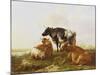 Cattle in a River Landscape-Thomas Sidney Cooper-Mounted Giclee Print