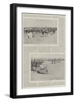 Cattle in Argentina-Henry Charles Seppings Wright-Framed Giclee Print