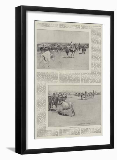 Cattle in Argentina-Henry Charles Seppings Wright-Framed Giclee Print
