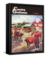"Cattle in Barnyard," Country Gentleman Cover, October 1, 1945-Matt Clark-Framed Stretched Canvas