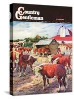 "Cattle in Barnyard," Country Gentleman Cover, October 1, 1945-Matt Clark-Stretched Canvas