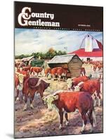 "Cattle in Barnyard," Country Gentleman Cover, October 1, 1945-Matt Clark-Mounted Giclee Print