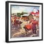 "Cattle in Barnyard,"October 1, 1945-Matt Clark-Framed Giclee Print