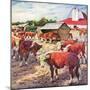 "Cattle in Barnyard,"October 1, 1945-Matt Clark-Mounted Giclee Print