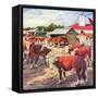 "Cattle in Barnyard,"October 1, 1945-Matt Clark-Framed Stretched Canvas