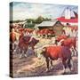 "Cattle in Barnyard,"October 1, 1945-Matt Clark-Stretched Canvas