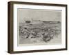 Cattle in Corral, Argentine Republic-Henry Charles Seppings Wright-Framed Giclee Print