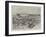 Cattle in Corral, Argentine Republic-Henry Charles Seppings Wright-Framed Giclee Print