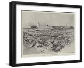Cattle in Corral, Argentine Republic-Henry Charles Seppings Wright-Framed Giclee Print