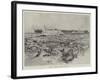 Cattle in Corral, Argentine Republic-Henry Charles Seppings Wright-Framed Giclee Print