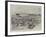 Cattle in Corral, Argentine Republic-Henry Charles Seppings Wright-Framed Giclee Print