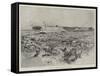 Cattle in Corral, Argentine Republic-Henry Charles Seppings Wright-Framed Stretched Canvas