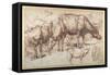 Cattle in Pasture, C.1618-20-Sir Anthony Van Dyck-Framed Stretched Canvas