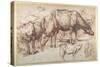 Cattle in Pasture, C.1618-20-Sir Anthony Van Dyck-Stretched Canvas