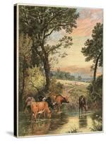 Cattle in Stream-null-Stretched Canvas
