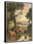 Cattle in Stream-null-Framed Stretched Canvas
