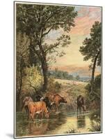 Cattle in Stream-null-Mounted Art Print