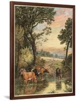 Cattle in Stream-null-Framed Art Print