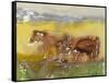 Cattle in the Meadow, 1983-Brenda Brin Booker-Framed Stretched Canvas