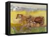 Cattle in the Meadow, 1983-Brenda Brin Booker-Framed Stretched Canvas