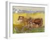 Cattle in the Meadow, 1983-Brenda Brin Booker-Framed Giclee Print