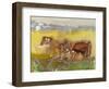 Cattle in the Meadow, 1983-Brenda Brin Booker-Framed Giclee Print