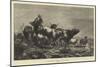 Cattle-Lifters Crossing the Border-Richard Beavis-Mounted Giclee Print