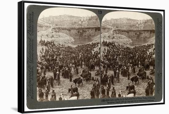 Cattle Market Day, in the Lower Pool of Gihon, Valley of Hinnom, Jerusalem, Palestine, 1900-Underwood & Underwood-Framed Stretched Canvas