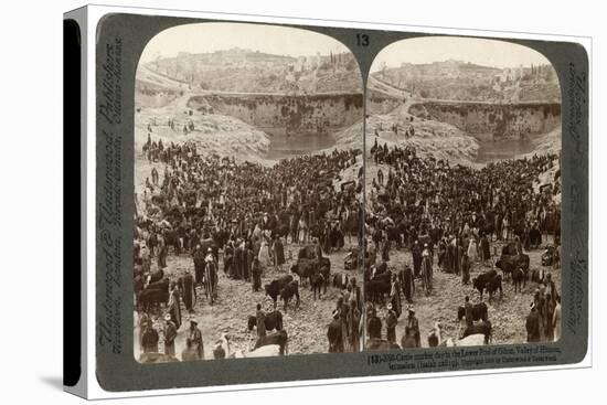 Cattle Market Day, in the Lower Pool of Gihon, Valley of Hinnom, Jerusalem, Palestine, 1900-Underwood & Underwood-Stretched Canvas