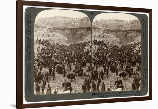 Cattle Market Day, in the Lower Pool of Gihon, Valley of Hinnom, Jerusalem, Palestine, 1900-Underwood & Underwood-Framed Giclee Print