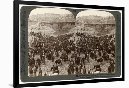 Cattle Market Day, in the Lower Pool of Gihon, Valley of Hinnom, Jerusalem, Palestine, 1900-Underwood & Underwood-Framed Giclee Print