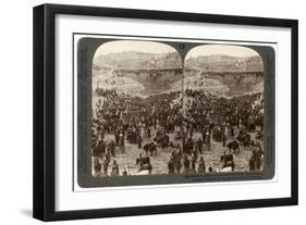 Cattle Market Day, in the Lower Pool of Gihon, Valley of Hinnom, Jerusalem, Palestine, 1900-Underwood & Underwood-Framed Giclee Print