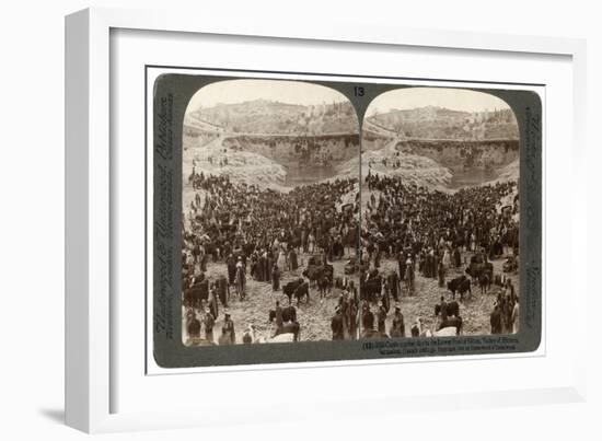 Cattle Market Day, in the Lower Pool of Gihon, Valley of Hinnom, Jerusalem, Palestine, 1900-Underwood & Underwood-Framed Giclee Print