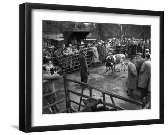 Photographic Print, , large