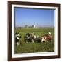 Cattle-Milking in Fields North-West of Amsterdam-CM Dixon-Framed Photographic Print