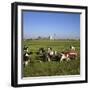 Cattle-Milking in Fields North-West of Amsterdam-CM Dixon-Framed Photographic Print