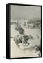 Cattle-Mustering in Queensland-Joseph Finnemore-Framed Stretched Canvas