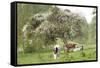 Cattle, Normandy Cows under Tree in Blossom-null-Framed Stretched Canvas