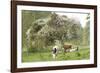 Cattle, Normandy Cows under Tree in Blossom-null-Framed Photographic Print