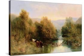Cattle on the Dart in Autumn-William Widgery-Stretched Canvas