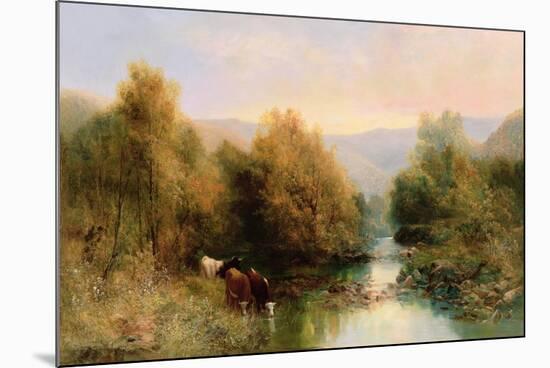 Cattle on the Dart in Autumn-William Widgery-Mounted Giclee Print